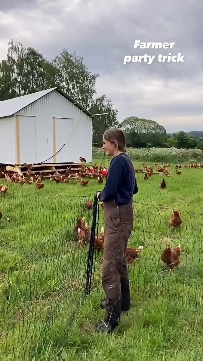 Summon Farm Animals