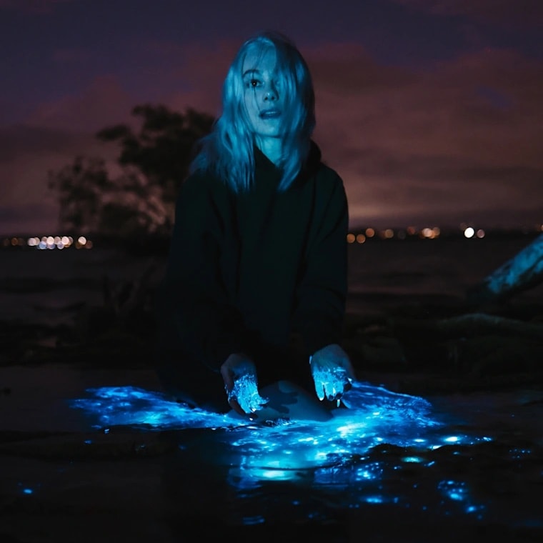 Phoebe Bridgers Spotify Top Artists debut