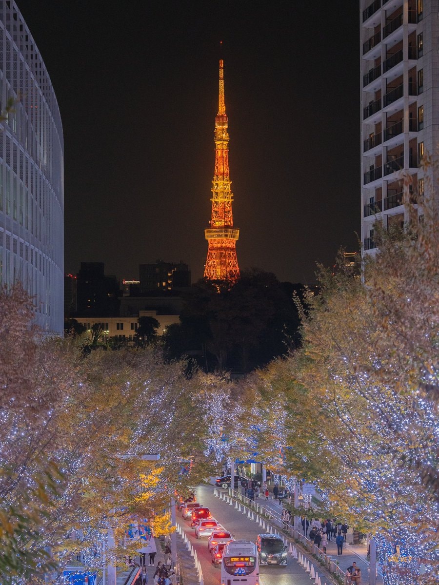 Tokyo Japan night scene