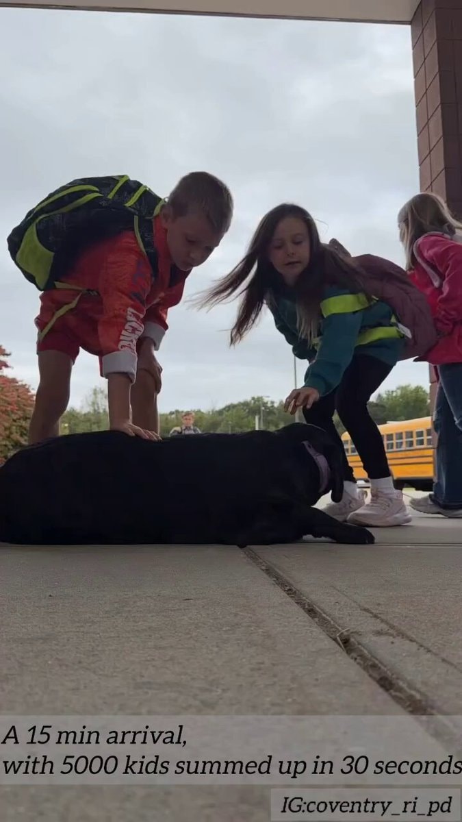 school therapy dog session