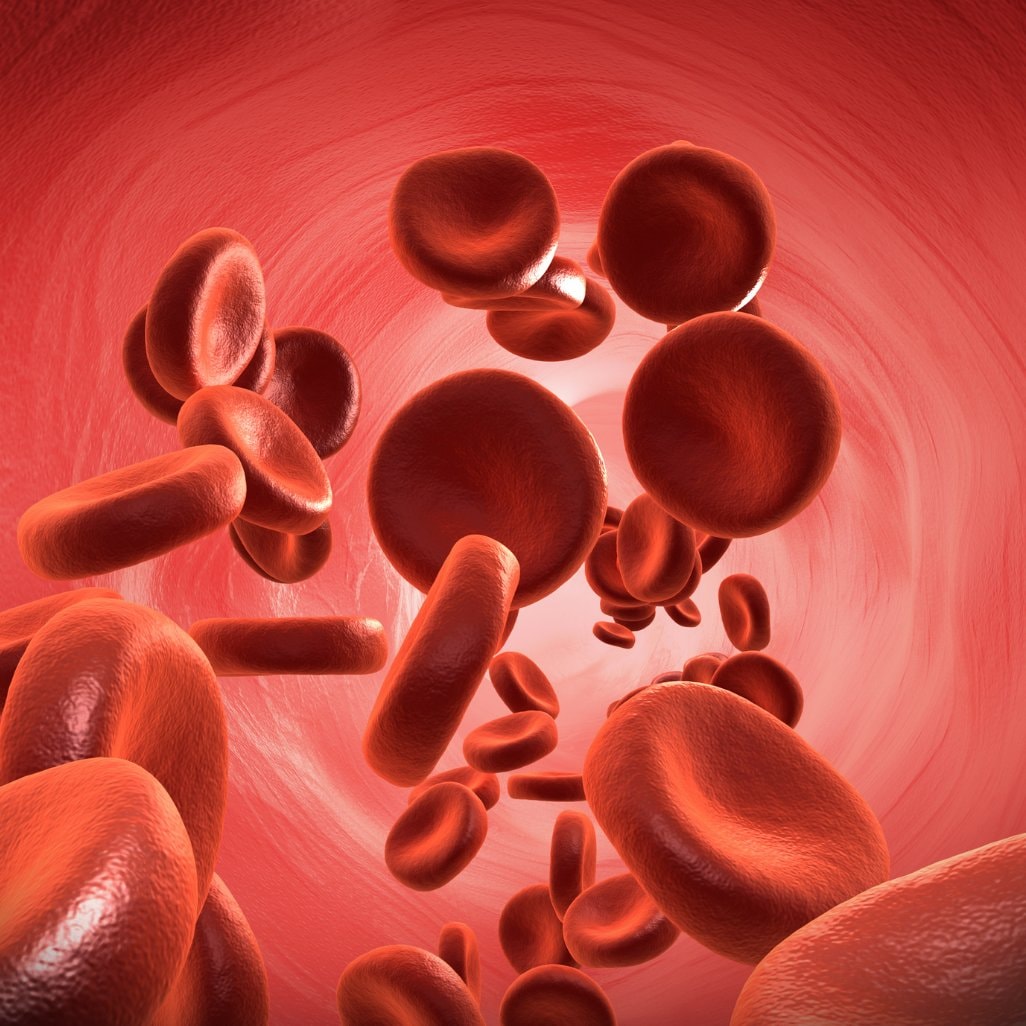 Daniel Cressy gene therapy sickle cell cure (photo 2 of 2)