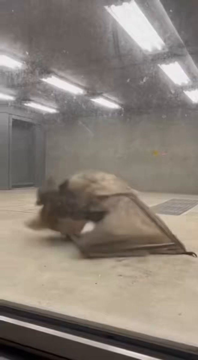 Area 51 hidden creature mystery