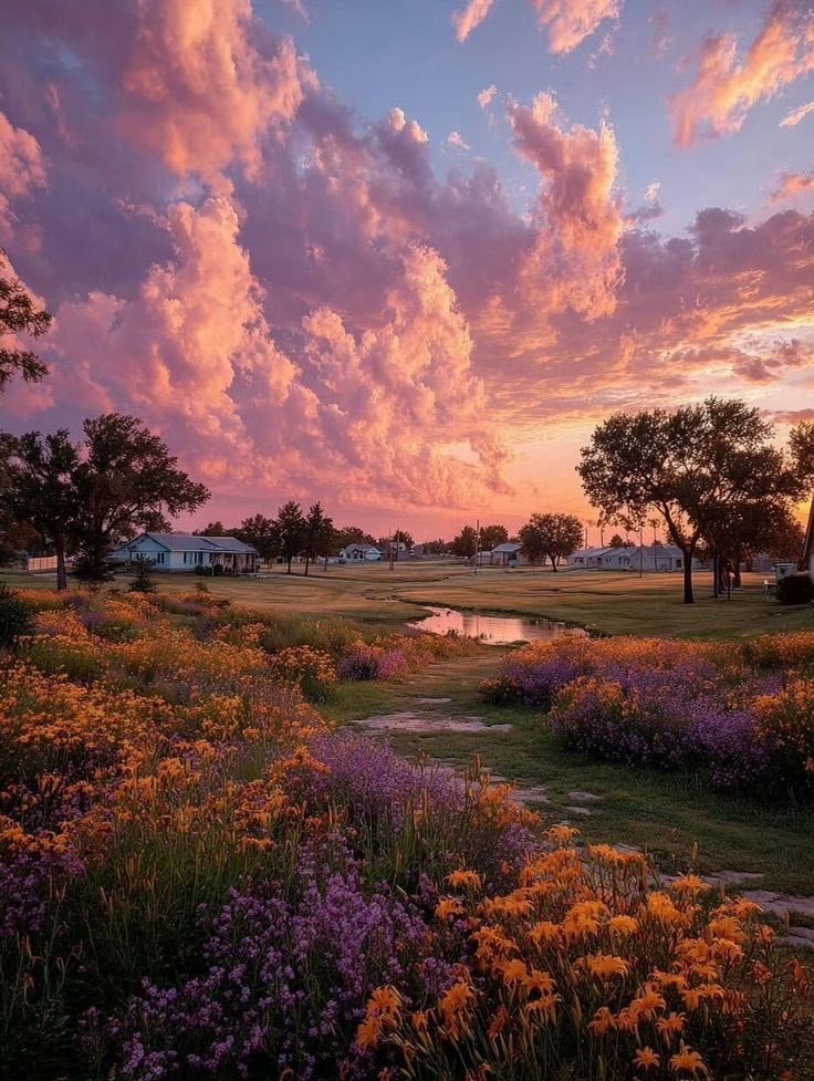 Wildflower field at sunset (photo 2 of 2)
