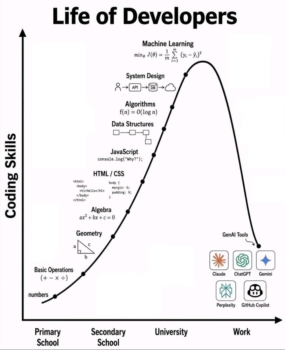 Life of Developers infographic