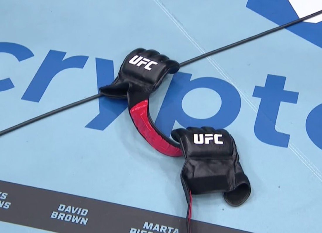Court McGee retirement UFC332