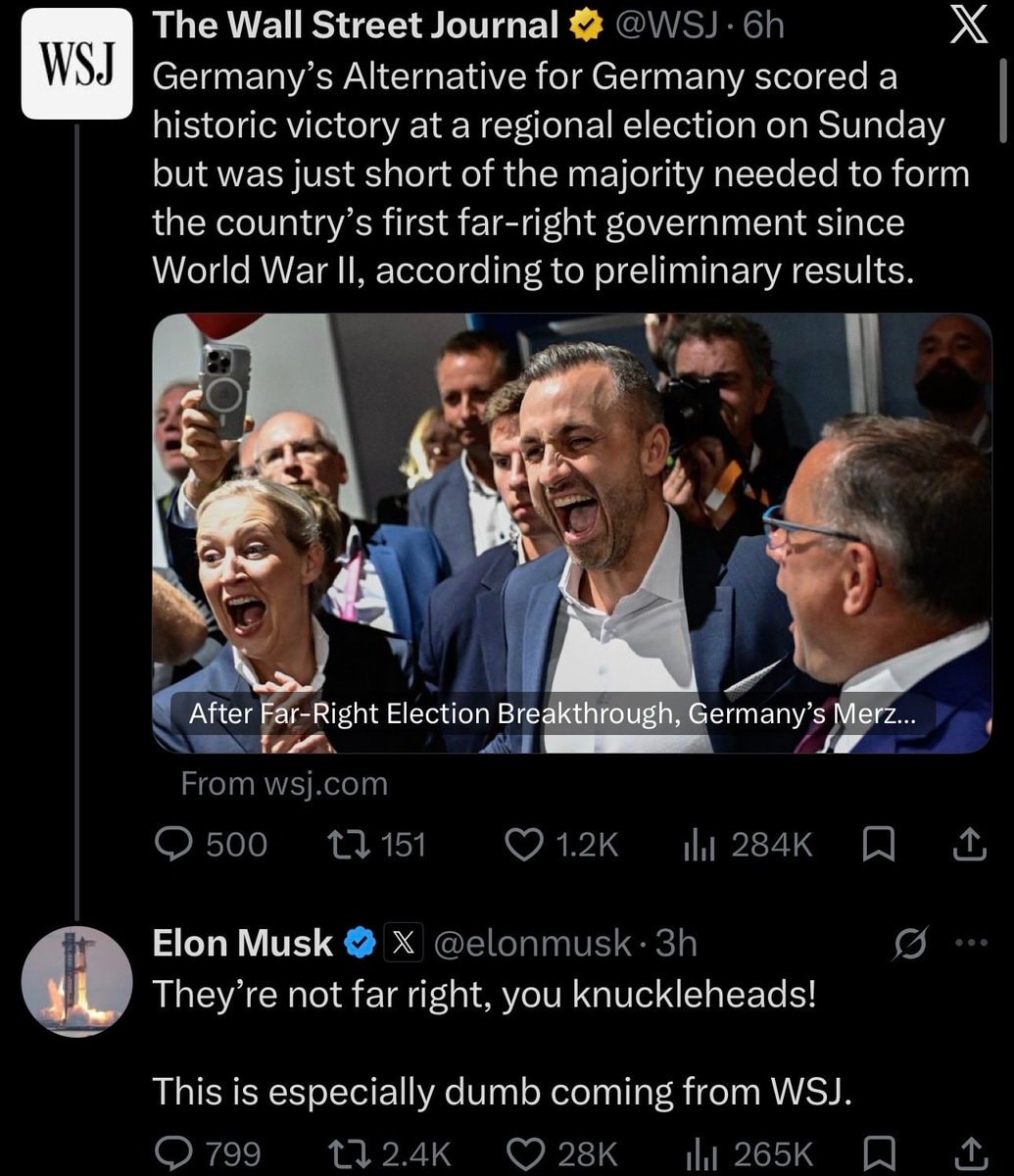 Elon Musk on AfD party label