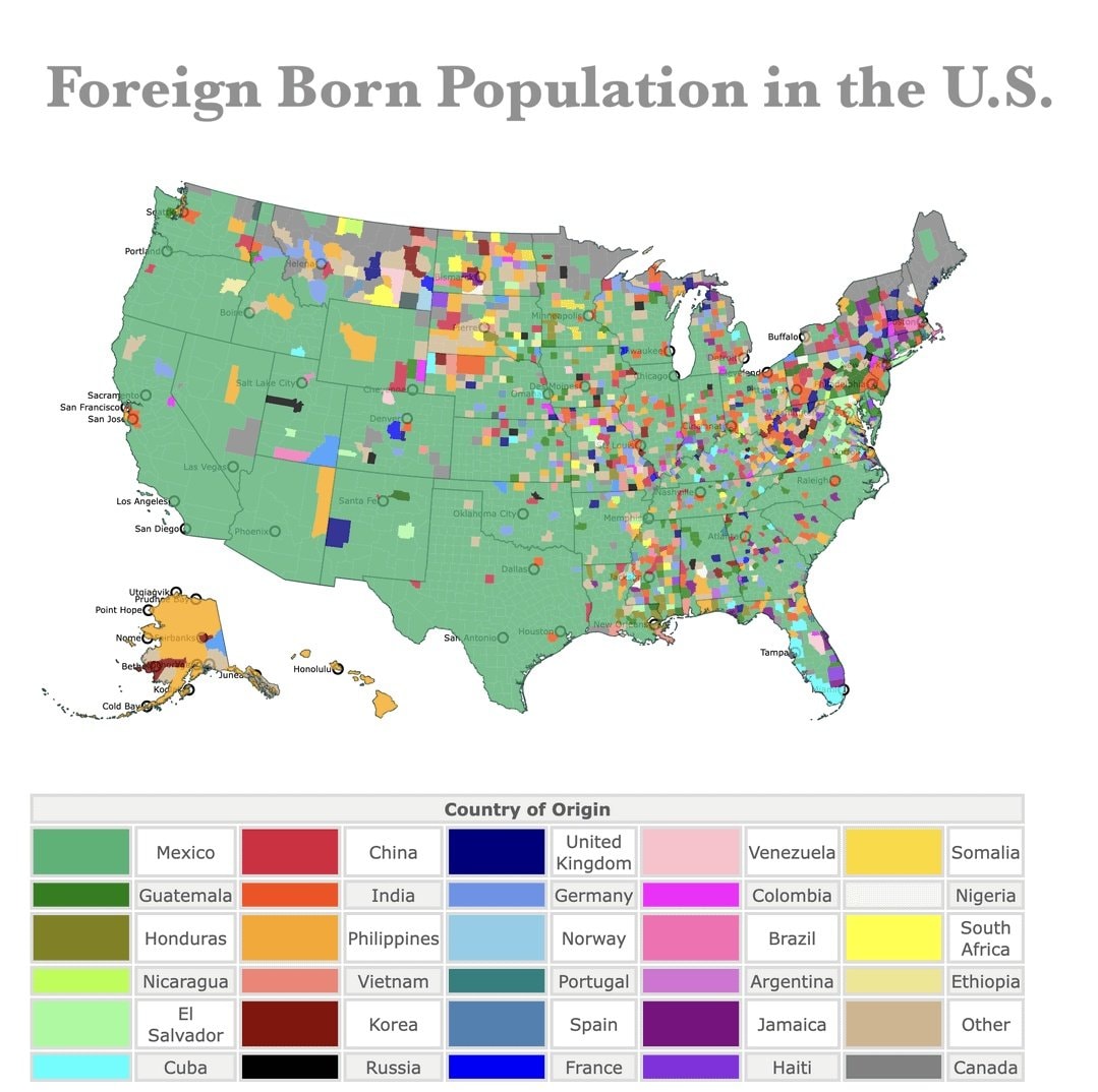US Foreign Born Population 2002 🇺🇸 (photo 2 of 2)