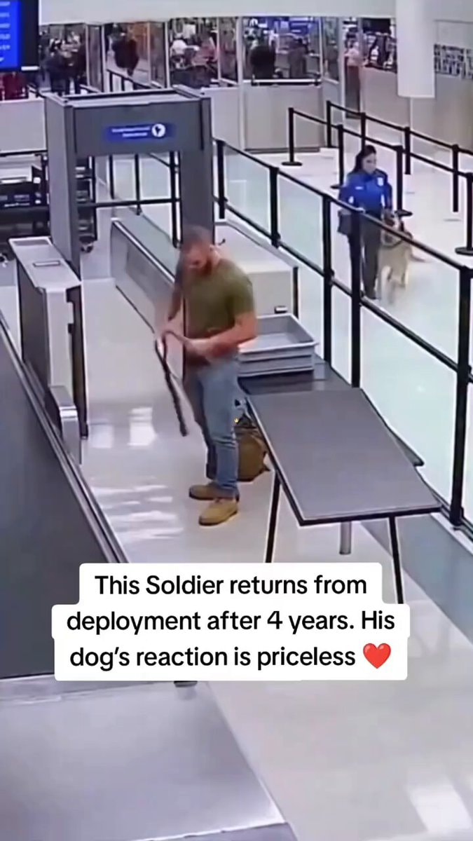 soldier reunion with dog