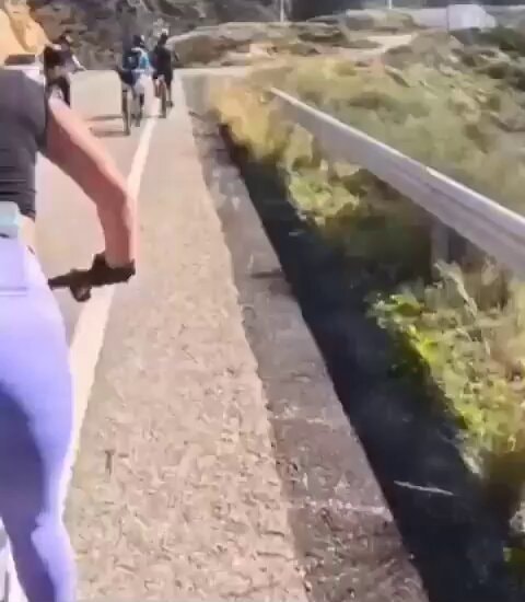 group cycling on path