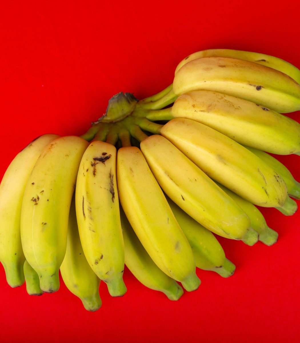 Banana fiber sanitary pads (photo 1 of 2)
