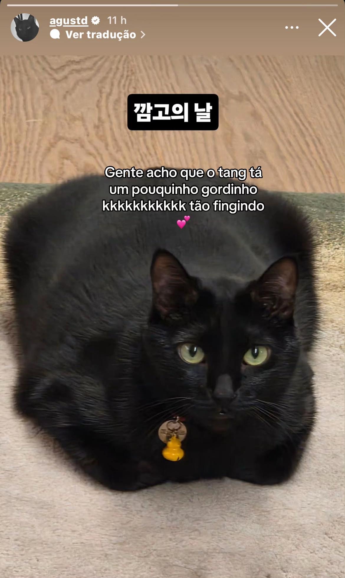 black cat BTS humor black cat BTS humor