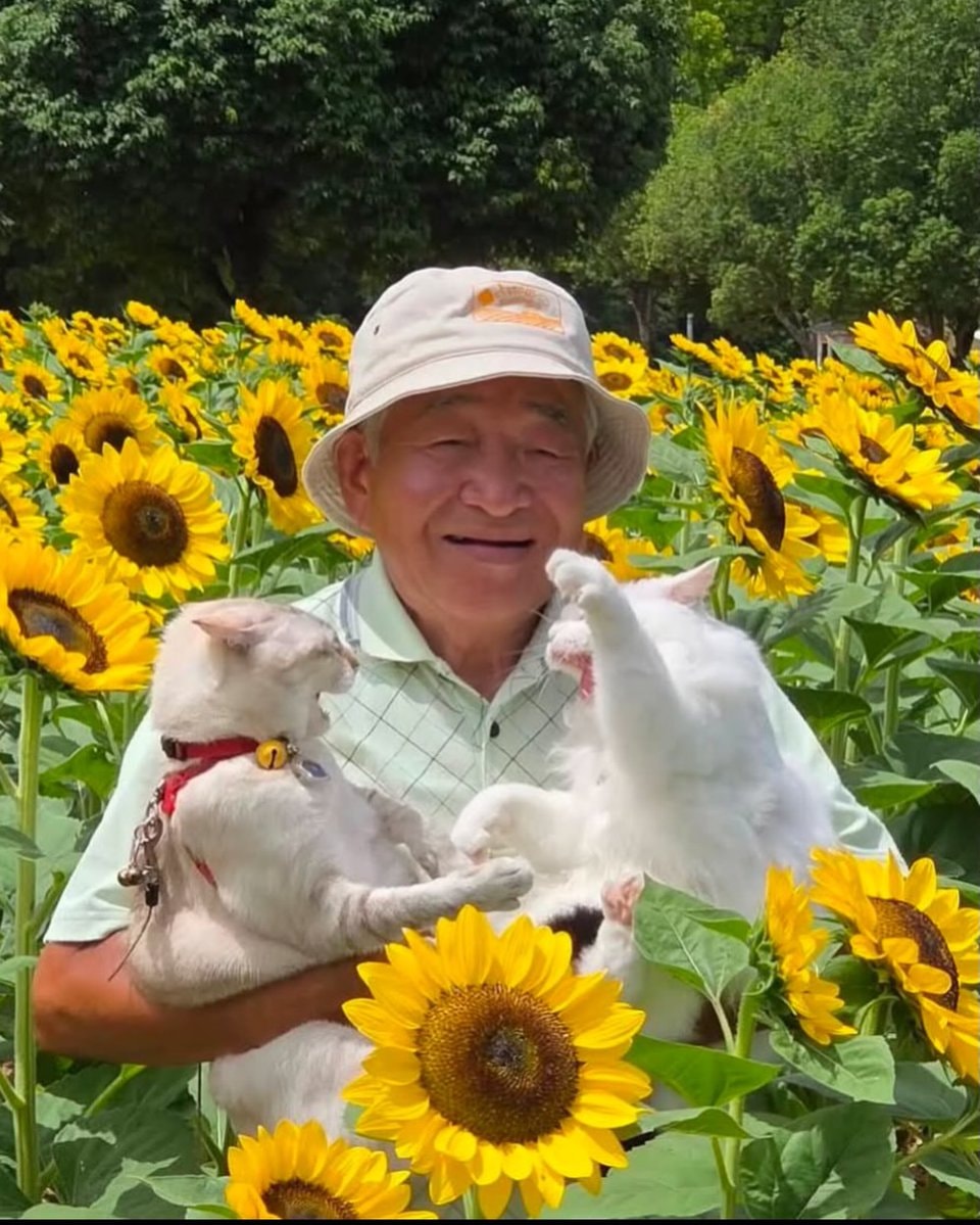 Man tries to get peaceful photo with cats (photo 1 of 2)