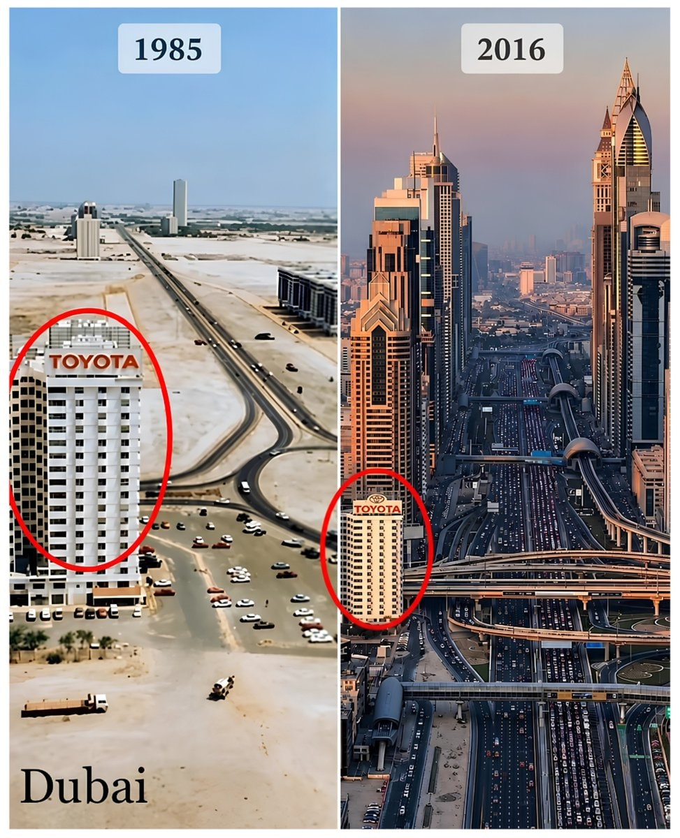 Dubai UAE transformation