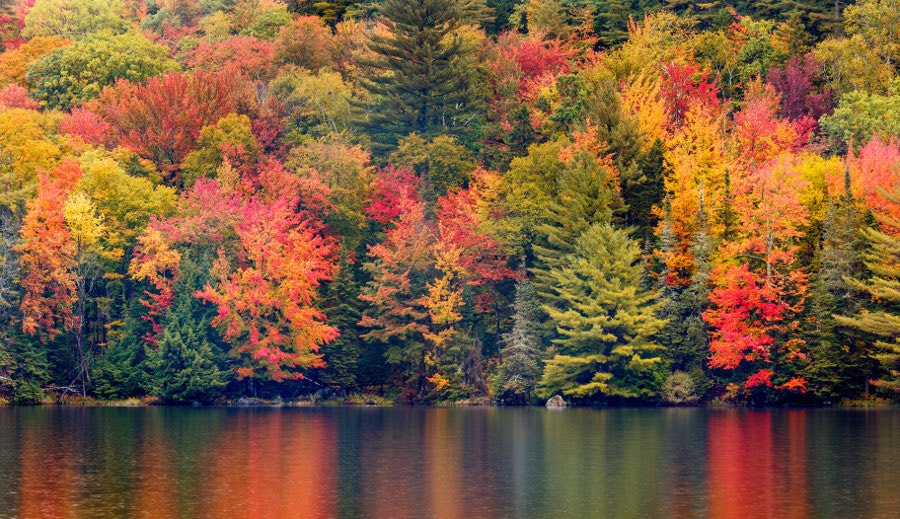 official first day of fall