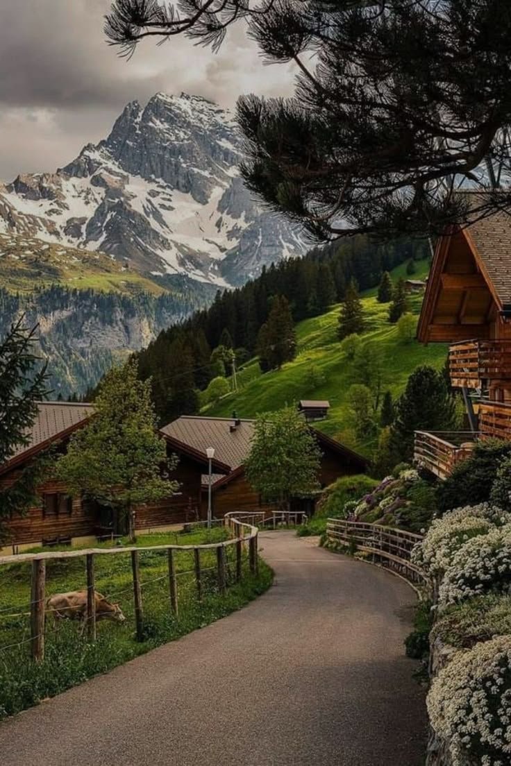Switzerland (photo 2 of 4)