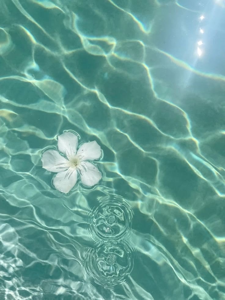 sea serenity (photo 2 of 4)