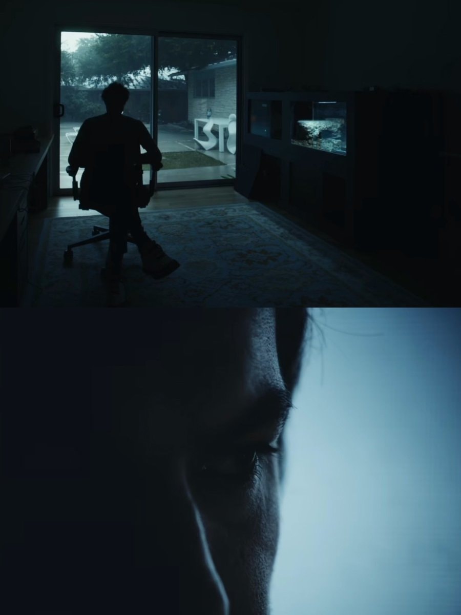 You Can See Everything Letterboxd record (photo 2 of 2)