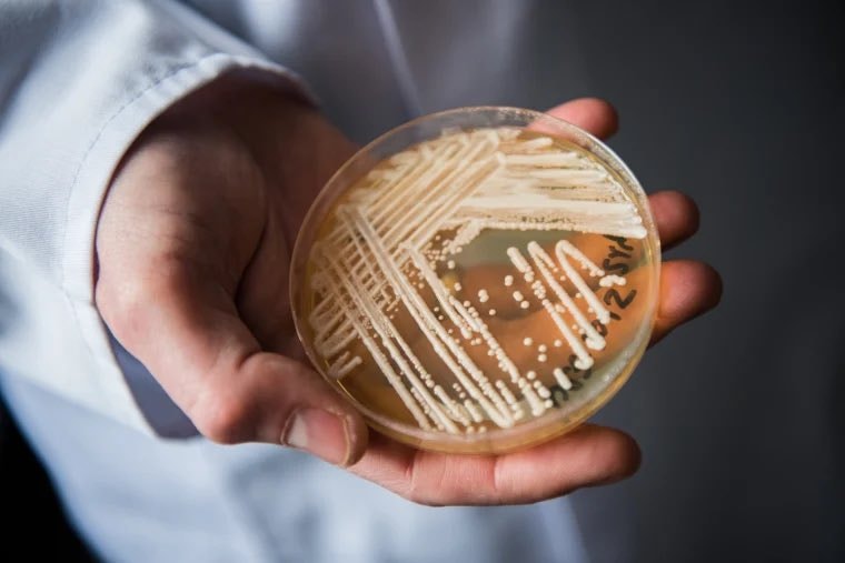 fungus pharaoh curse leukemia lab test fungus pharaoh curse leukemia lab test