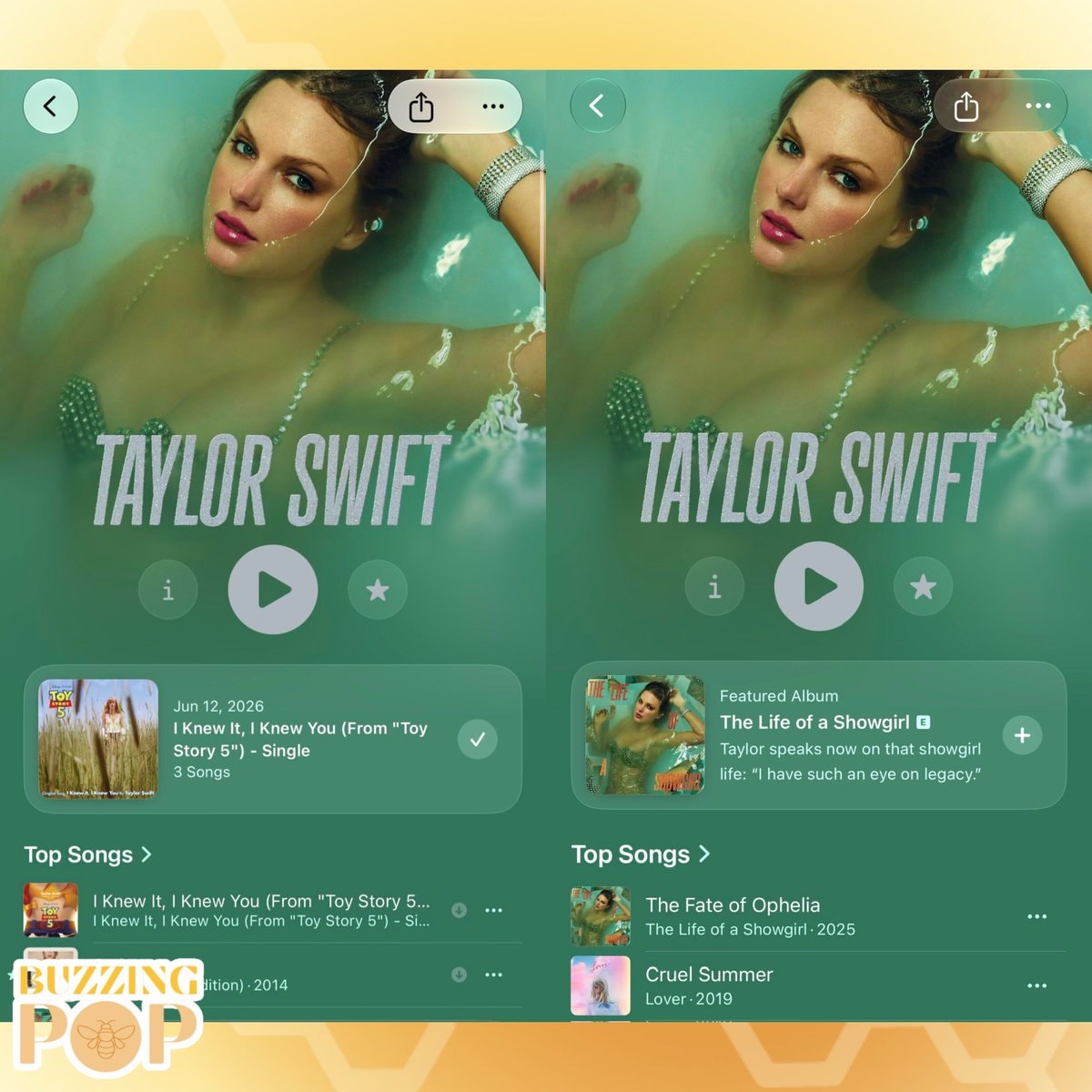 Taylor Swift The Life of a Showgirl pin (photo 2 of 2)
