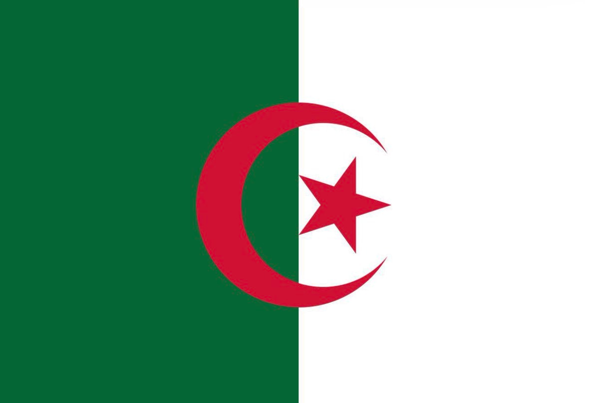 Switzerland Algeria World Cup elimination (photo 2 of 2)