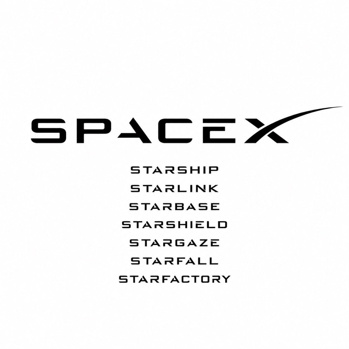 Elon Musk SpaceX Starshit (photo 2 of 2)