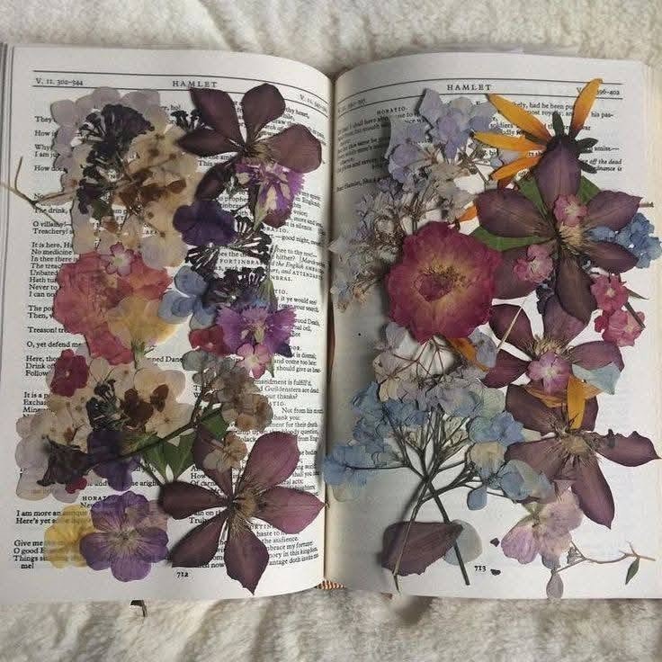 Pressed flowers on Arabic book (photo 2 of 4)