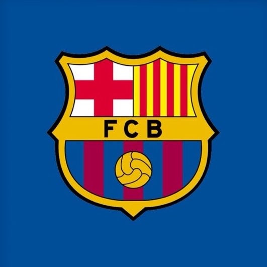 Spain 2035 Rugby World Cup bid (photo 2 of 2)