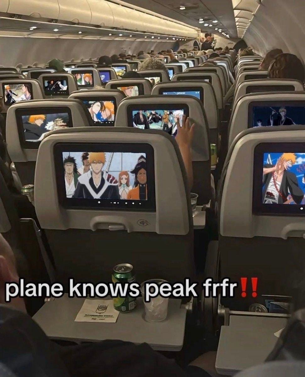 Airplane screens playing Bleach