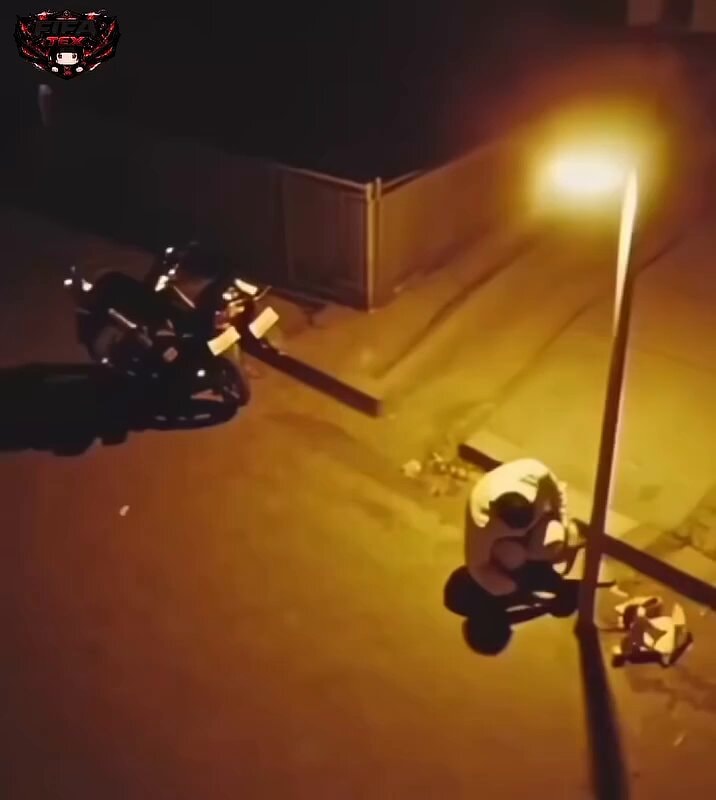 rare animal footage USA