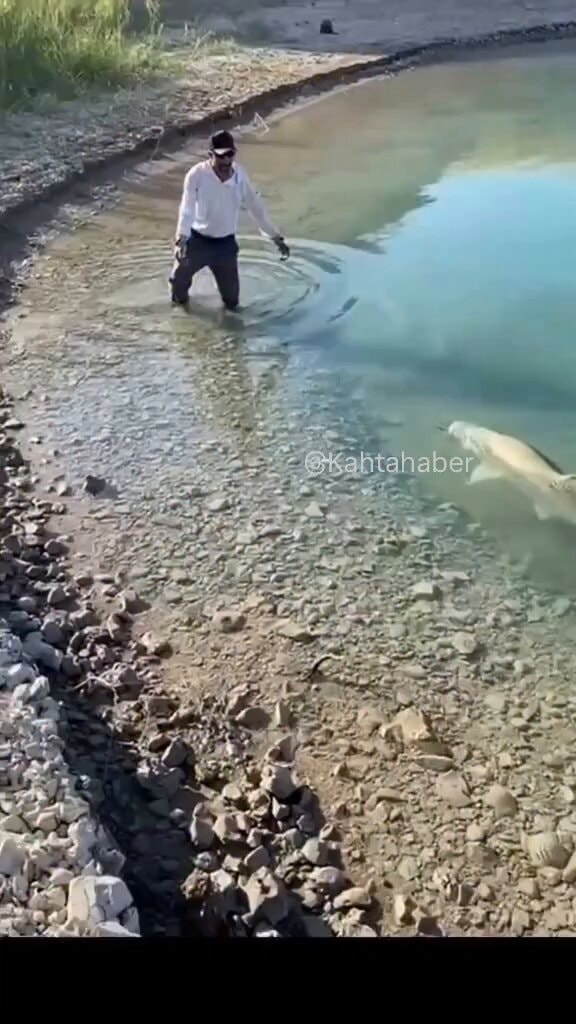 Man wades in water with fishing rod