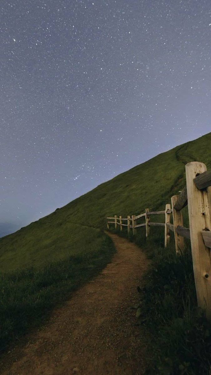 Starry night over a winding dirt path