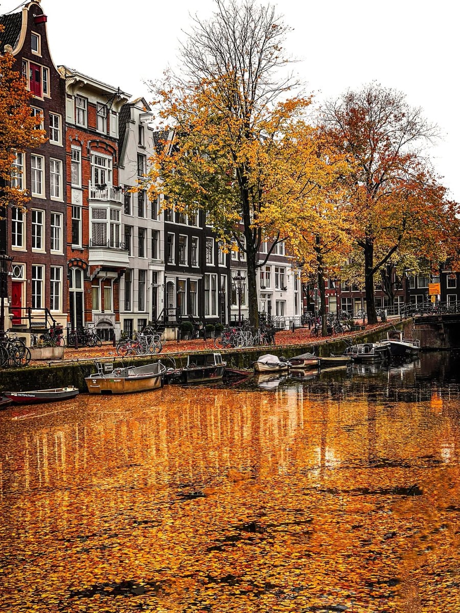 Amsterdam canal in autumn (photo 3 of 4)