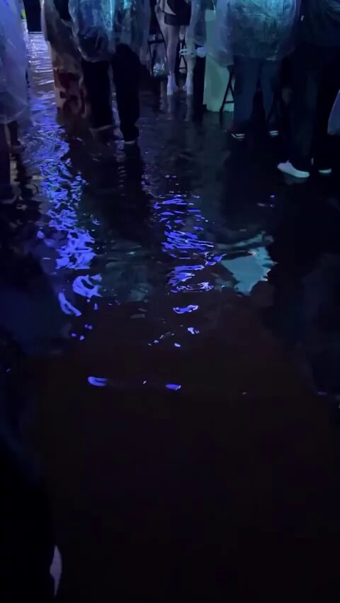BTS Toronto SWIM performance