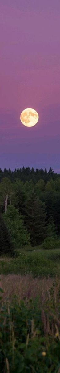 crescent moon (photo 2 of 4)