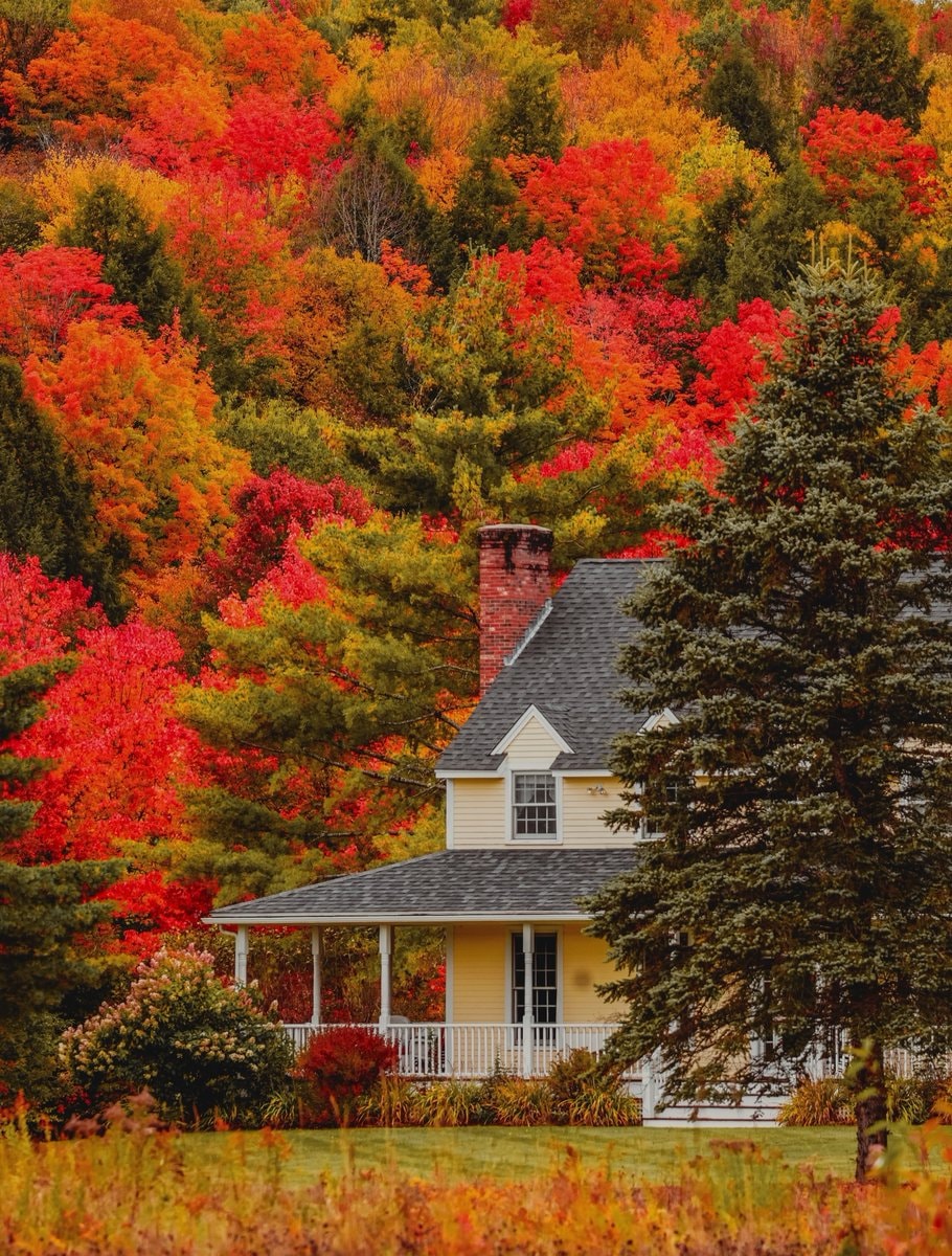 New England fall foliage (photo 2 of 4)