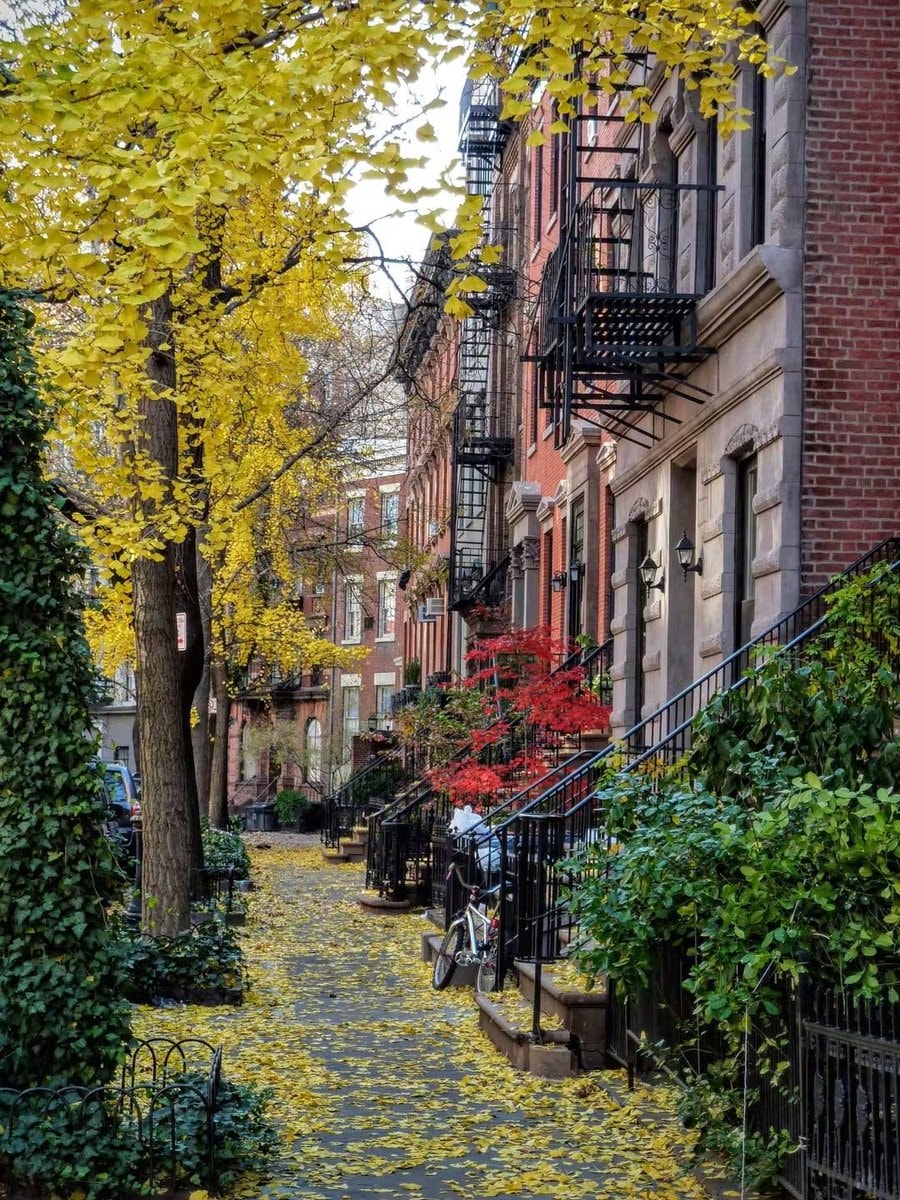 New York fall season