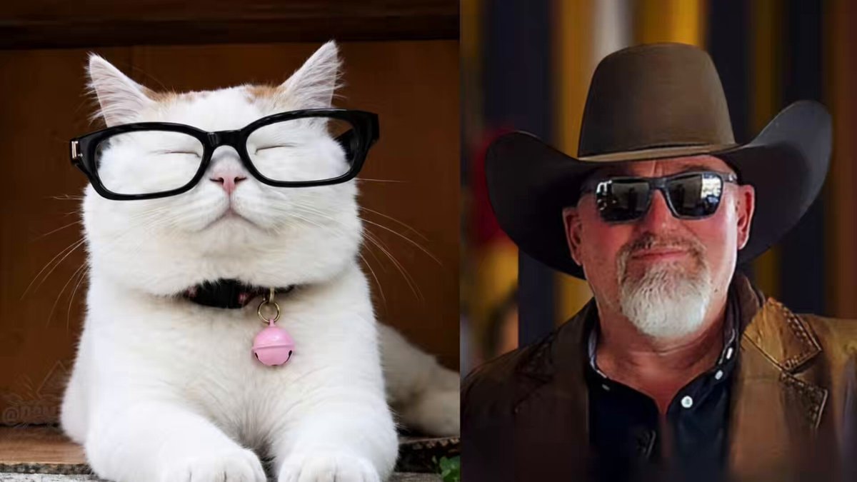 Catturd 62nd birthday
