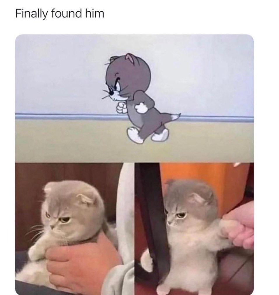 Tom and Jerry meme with real kitten