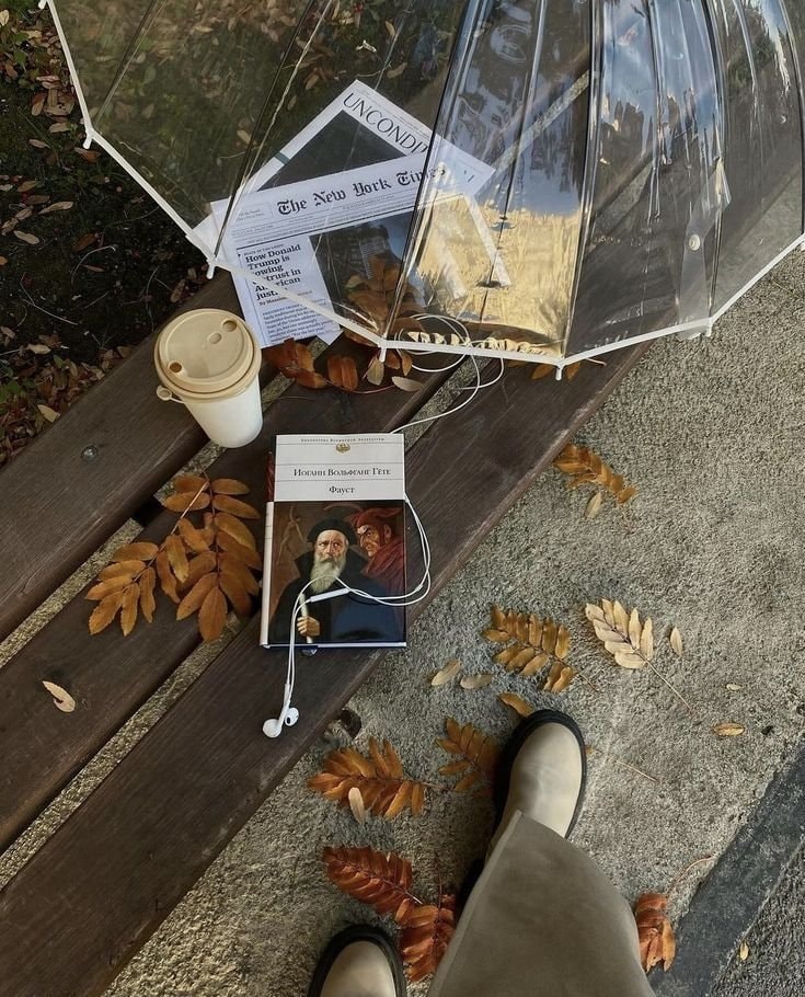 park bench still life