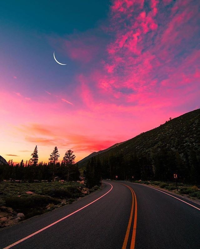 Forest road under pink sky moonlight