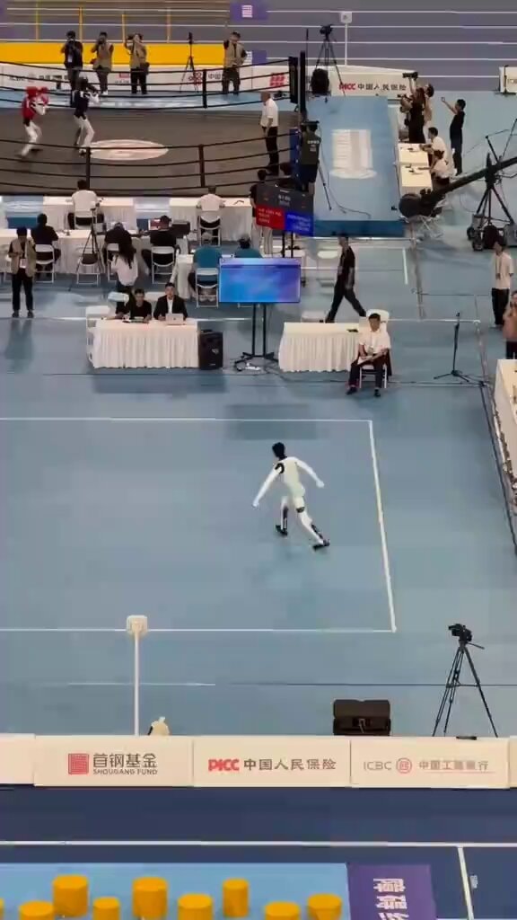fencer aesthetic
