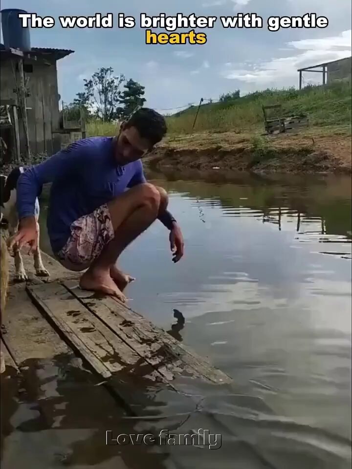Man and dog on dock by water ❤️