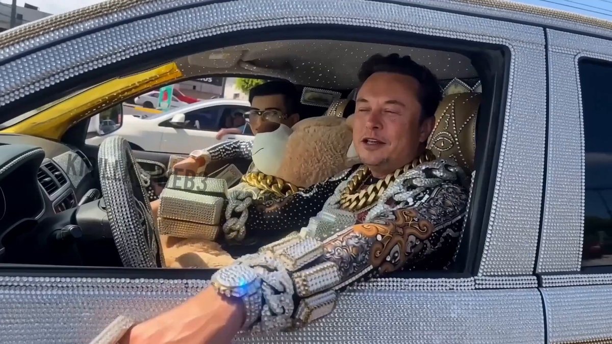 Elon Musk Grok Bot earnings