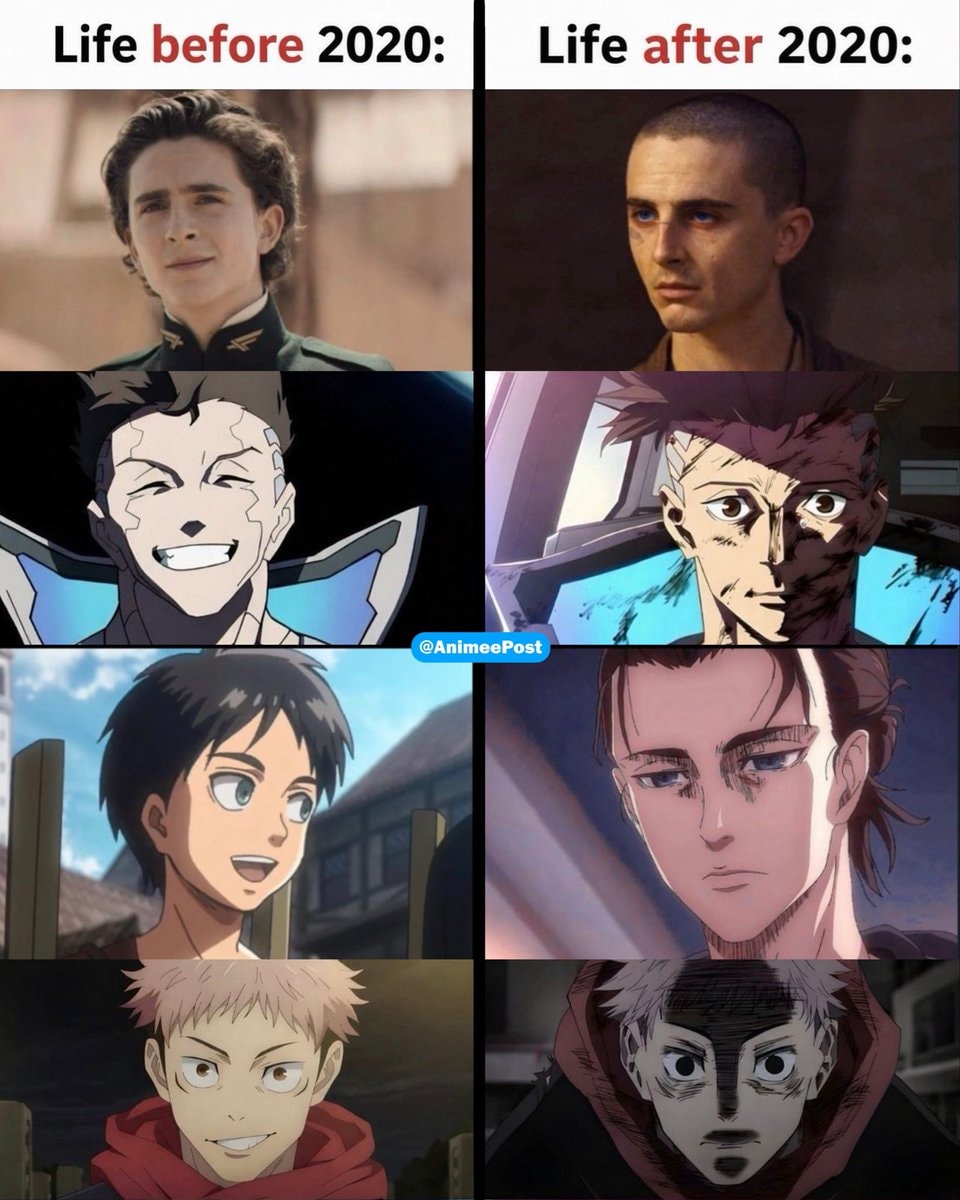 Life before and after 2020 meme