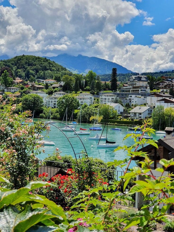 Lake Bern Switzerland view (photo 3 of 4)