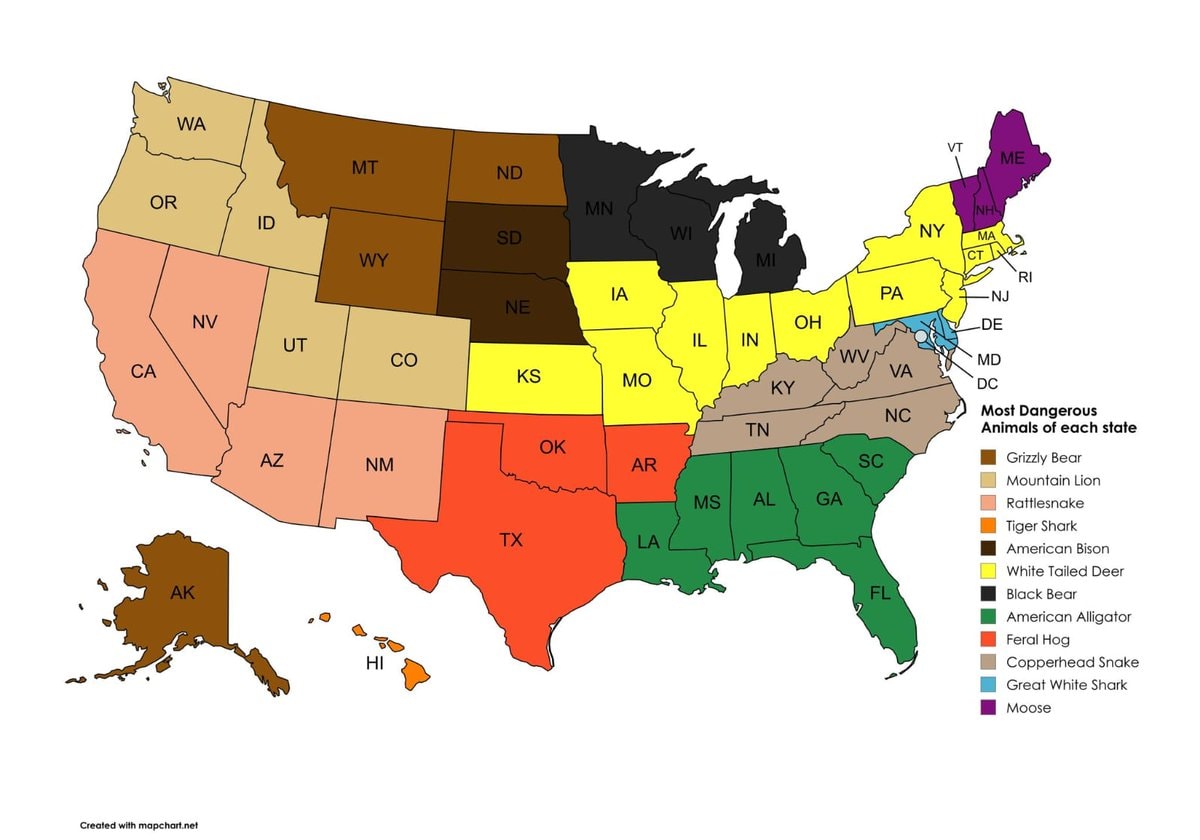 Most dangerous animal in every US state