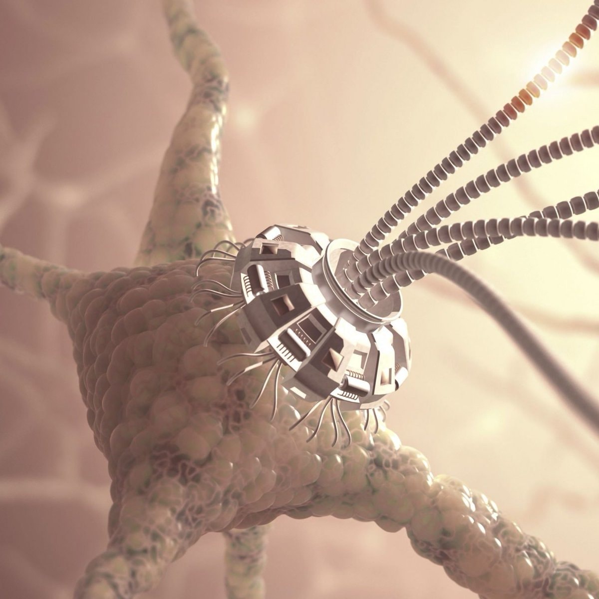 Living robot with own nervous system (photo 2 of 2)