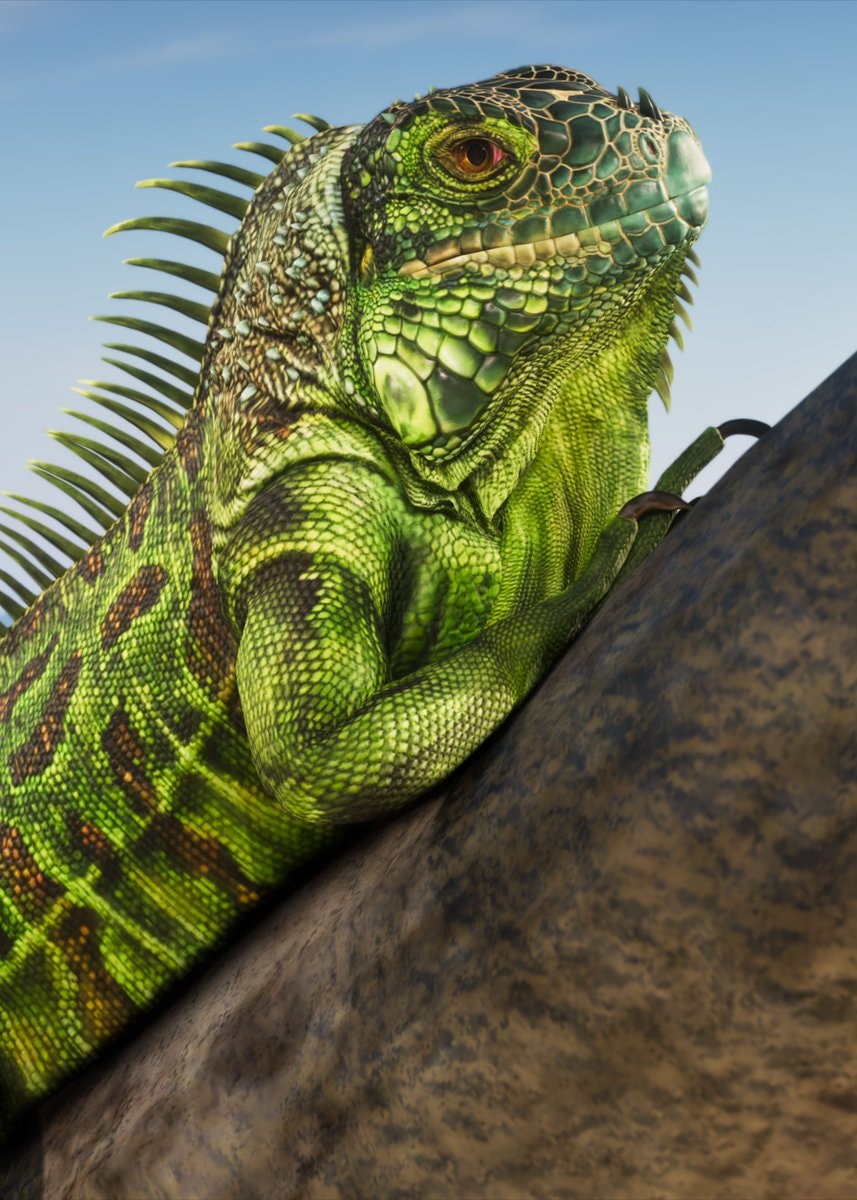 GTA 6 animal species details (photo 2 of 2)