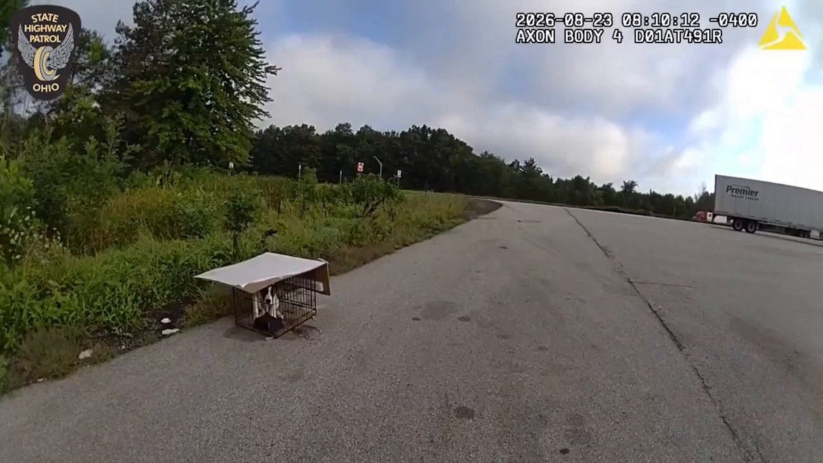 Abandoned puppy plays with Ohio police officer