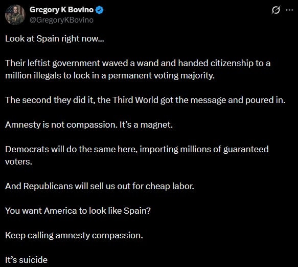 Gregory Bovino Spain amnesty warning Gregory Bovino Spain amnesty warning